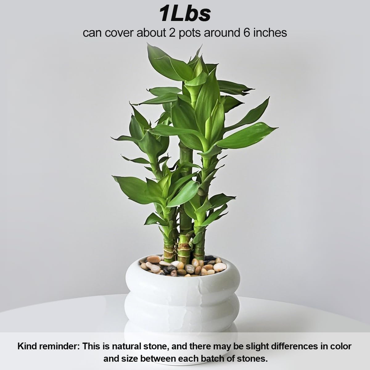 Natural River Rocks – Decorative Garden Pebbles & Gravel Filler for Landscaping, Vases, Plants & Fish Tanks