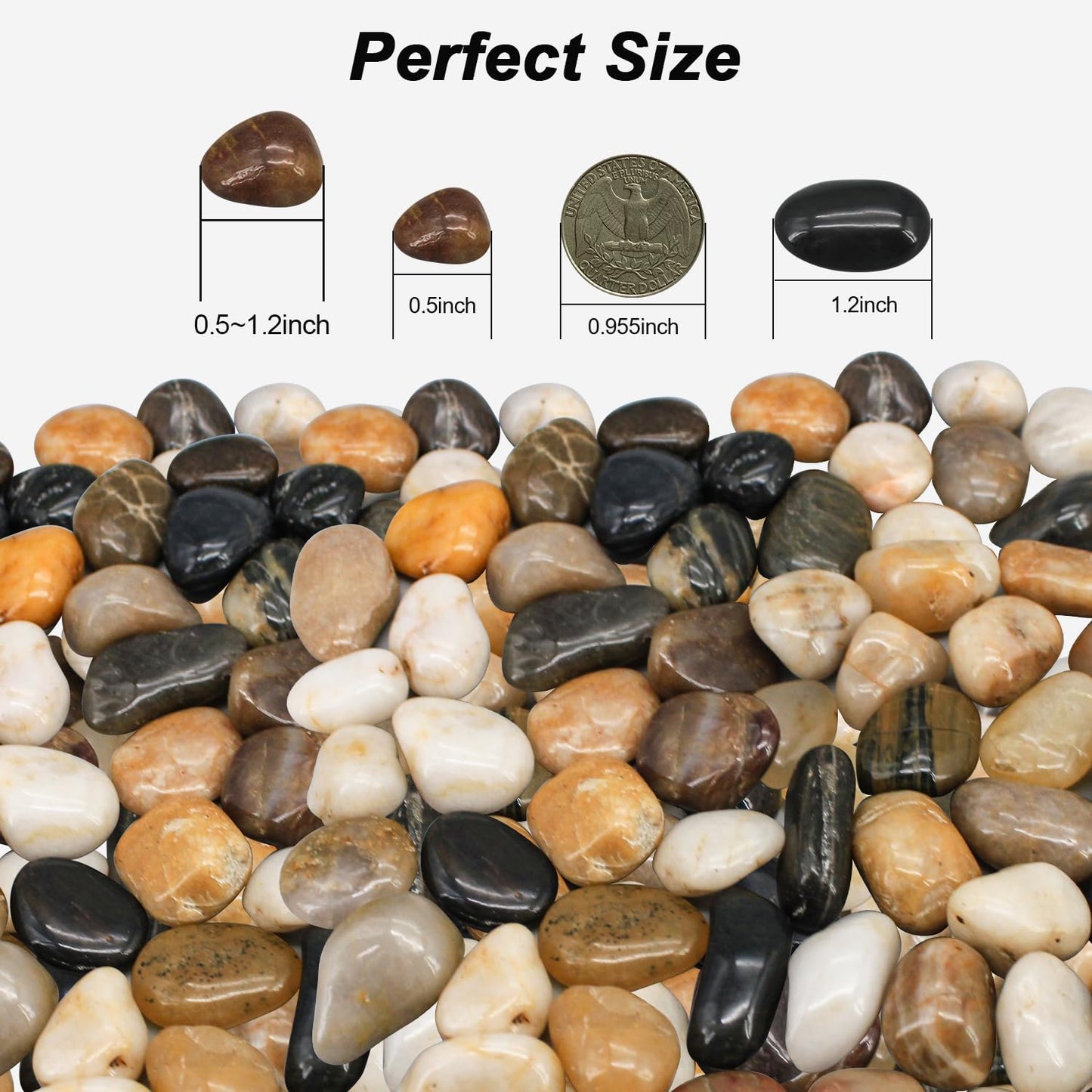 Natural River Rocks – Decorative Garden Pebbles & Gravel Filler for Landscaping, Vases, Plants & Fish Tanks