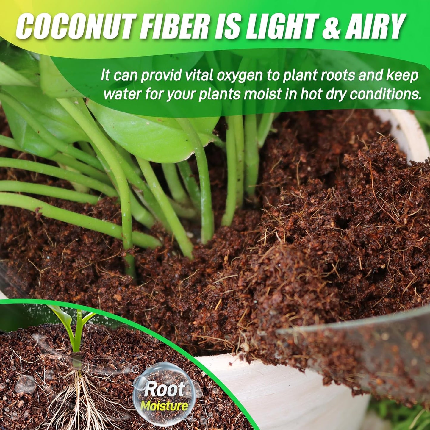6-Pack Organic Coco Coir Bricks – Compressed Coconut Fiber Soil for Gardening & Potting