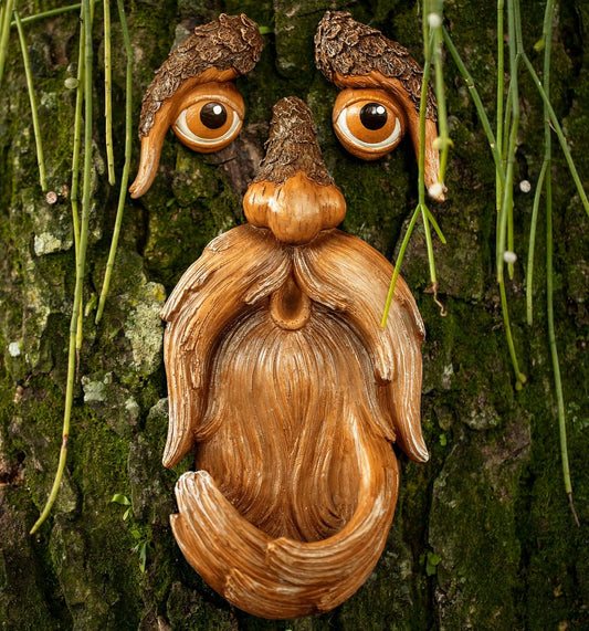 Tree Face, Tree Faces Outdoor, Tree Art, Tree Decorations Outdoor, Tree Faces, Tree Stump Decor, Face for Tree Trunk, Outdoor Tree Decorations, Tree Face Decor, Tree Faces Decor Outdoor, Tree Eyes